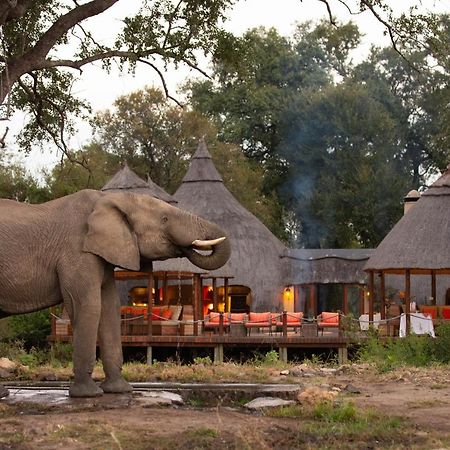 Hoyo Hoyo Safari Lodge Mluwati Concession Экстерьер фото