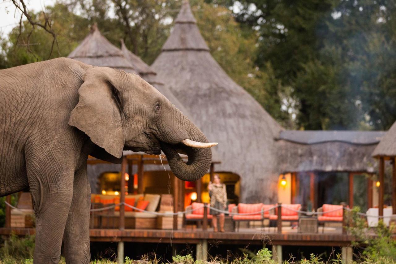 Hoyo Hoyo Safari Lodge Mluwati Concession Экстерьер фото